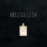 Масляные духи Molecules 04 - по мотивам Escentric Molecules